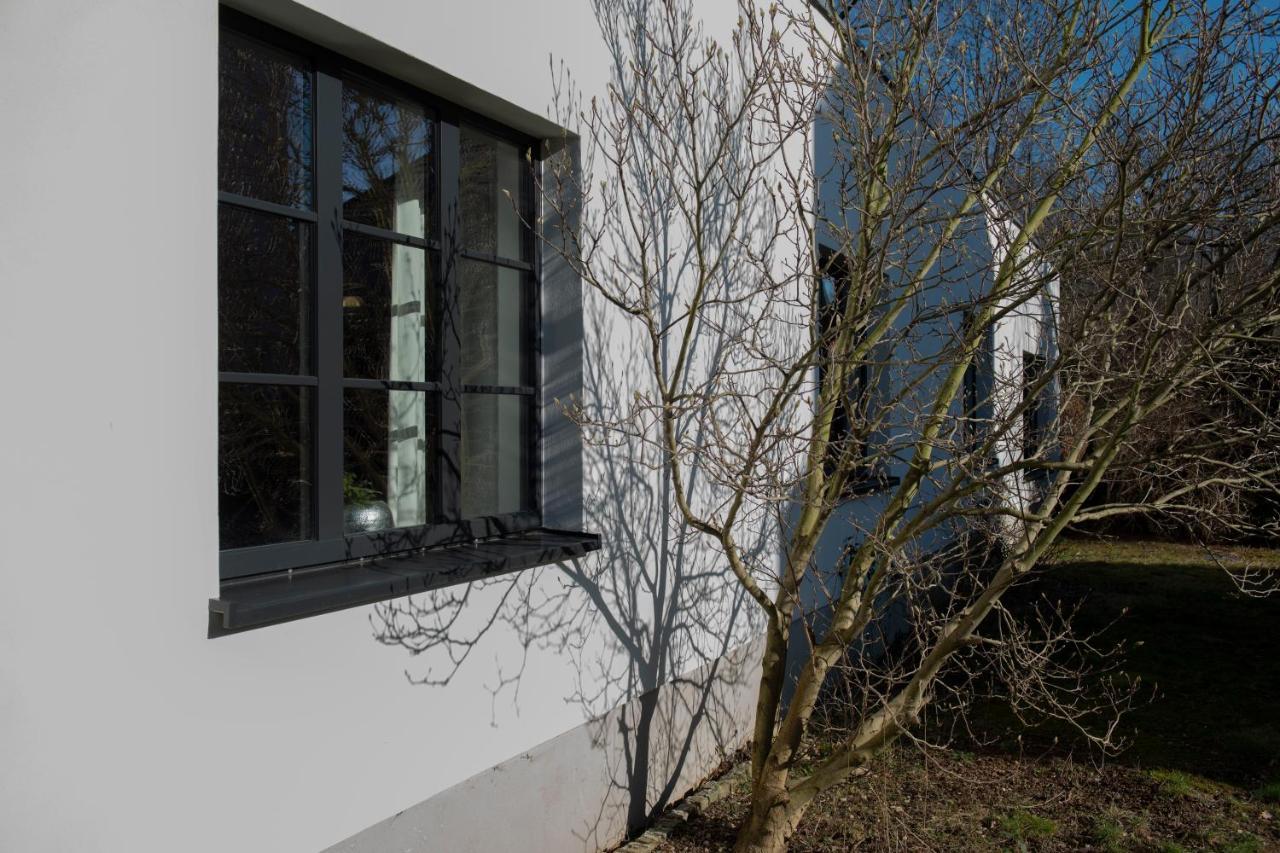 Freiraum Loft Villa Markkleeberg Exterior foto